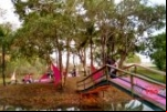 ARIQUEMES: Solenidade de abertura de Outubro Rosa é realizado no Jardim Botânico com grande piquenique