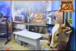 ARIQUEMES: Assista na íntegra Especial Expoari no Canal 35 hoje a partir das 19 horas 