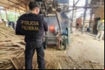 PF incinera mais de 600 quilos de droga em Rondônia