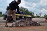 Casal de traficantes é preso com 56 kg de maconha em Porto Velho