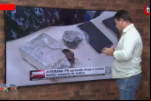 Ji–Paraná: PM apreende droga e conduz mulher suspeita de tráfico – Vídeo