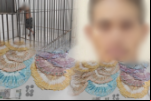 APÓS DENÚNCIA: 'Calango do CV' é preso com arma, droga e dinheiro na entrada do Orgulho do Madeira em Porto Velho