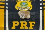 PRF apreende cocaína em ônibus intermunicipal em Pimenta Bueno