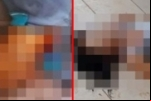 Duas pessoas são mortas em Vilhena: As vítimas seriam mãe e filho e os dois seriam portadores de necessidades