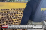 PRF faz apreensão recorde de mais de 2 toneladas de maconha tipo skunk, em Ji Paraná – Vídeo