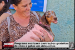 Programa realizará castrações gratuitas de cães e gatos em Ariquemes – Vídeo